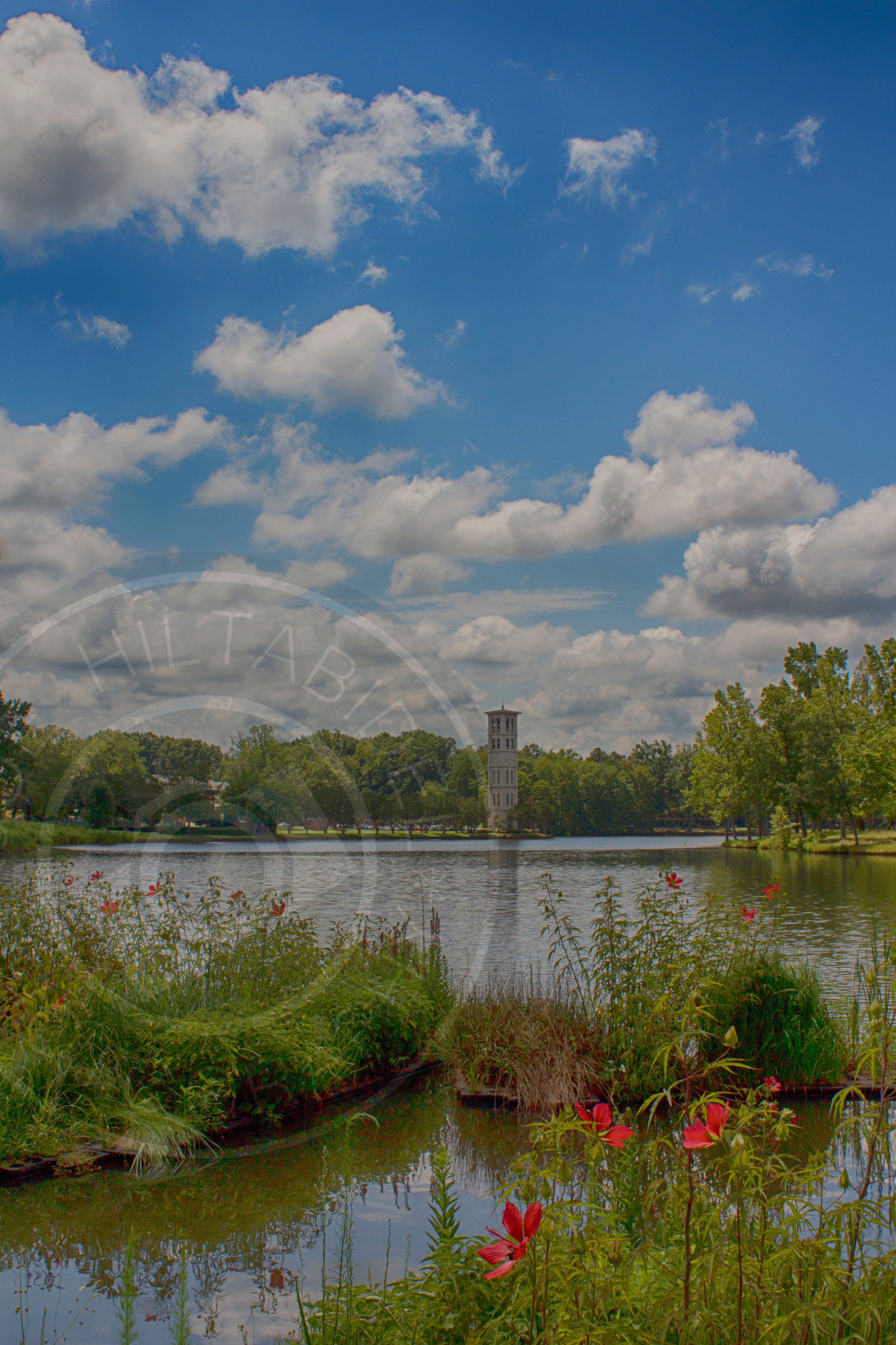 Bell Tower in the Clouds - Limited Edition
