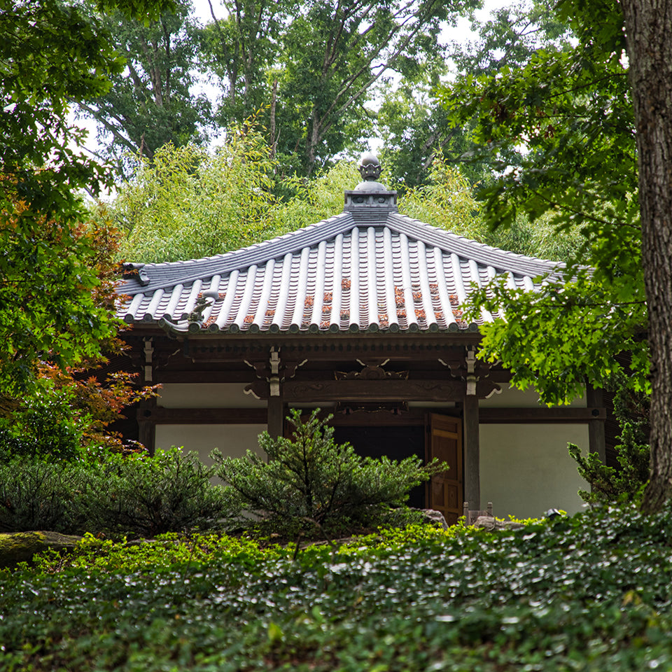 A japanese temple surrounded by trees