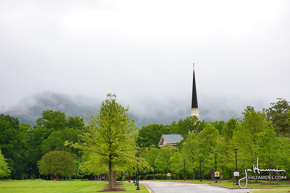 Furman University - 8419