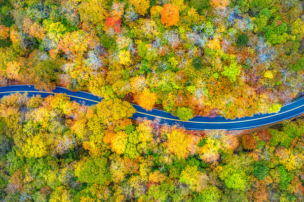 An aerial view of autumn leaves in Vermont with a single road winding through the trees.